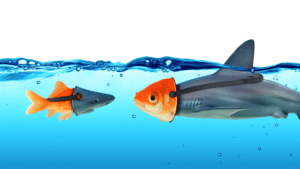 Caroline Kennedy - How the best leaders inspire trust
