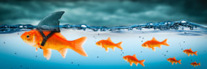 Caroline Kennedy - challenges for women in leadership